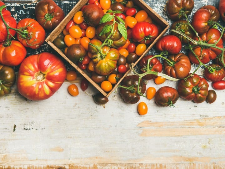 Tomaten Vielfalt