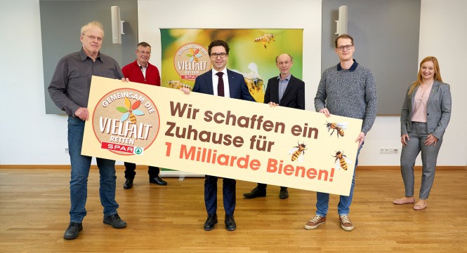 Bienenrat - Wir schaffen ein zu Hause für Bienen