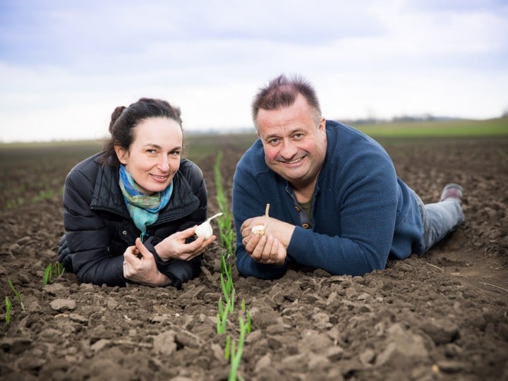 Ein Mann und eine Frau liegen lächelnd in einem Feld und halten Knoblauch in den Händen
