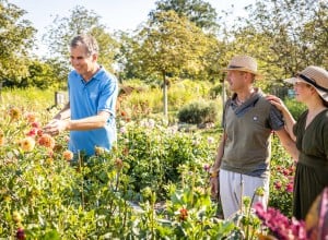 Blumengarten in den Garten tulln mit einem Pärchchen und einem Mitarbeiter
