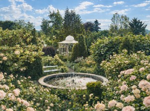 Rosengarten in den Kittenberger Erlebnisgärten