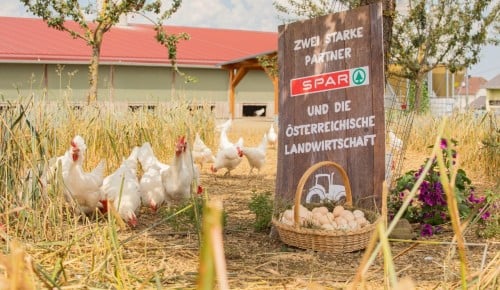 Niederösterreich Niederösterreich