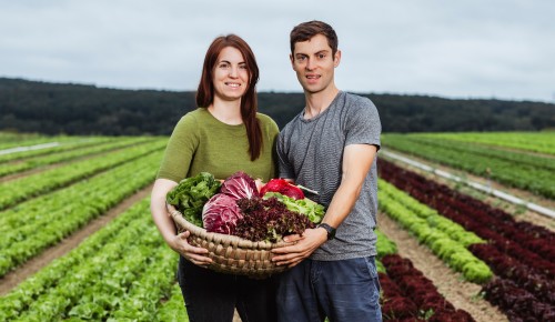 Viktoria und Paul Sterkl mit einem Holzkorb voll mit Salaten und Gemüse auf einem Salatfeld