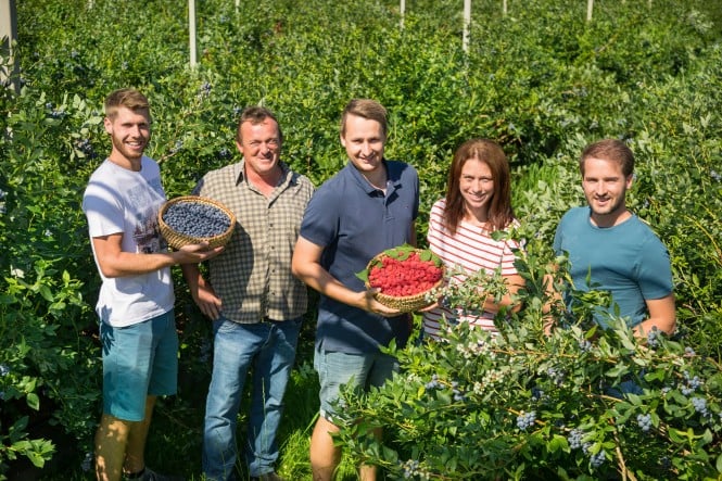 Beerengut Straden liefert an SPAR