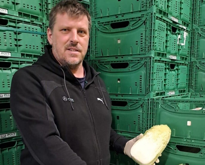Chinakohlbauer Schiefer liefert an SPAR