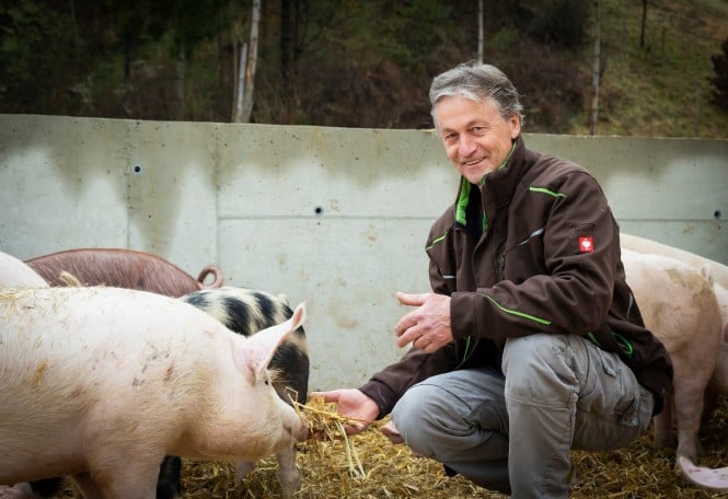 Vulkanland Duroc