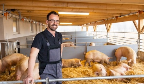 Vulkanland Duroc