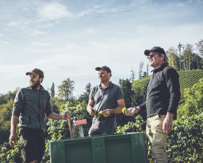 Weingut Peter Skoff liefert an SPAR