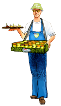 Illustration Sampling Mitarbeiter