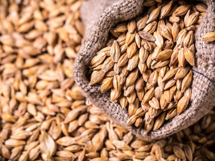 barley and hops on wooden table , beer