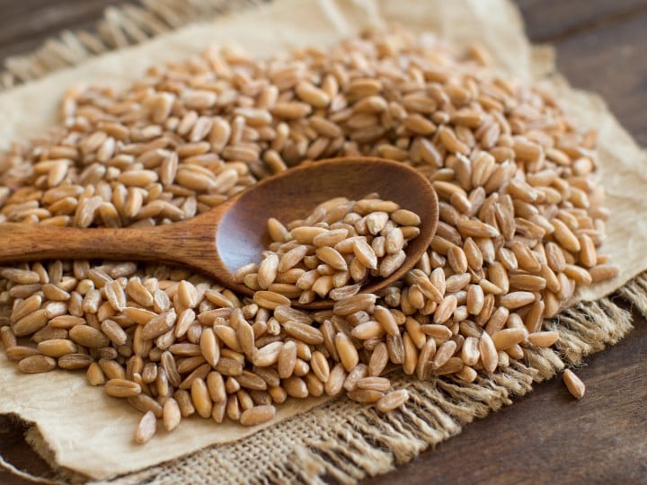 Whole unpolished spelt in a with a spoon close up