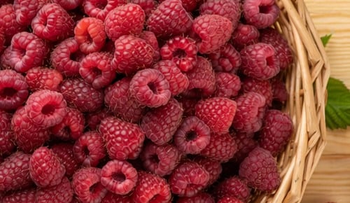 Hier sieht man einen Korb von oben der auf einem Tisch steht und voll gefüllt ist mit reifen prallroten Himbeeren