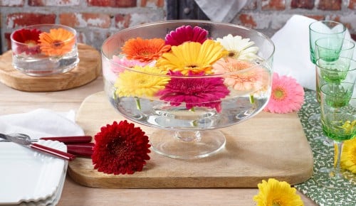 Gerbera-Schritt-009