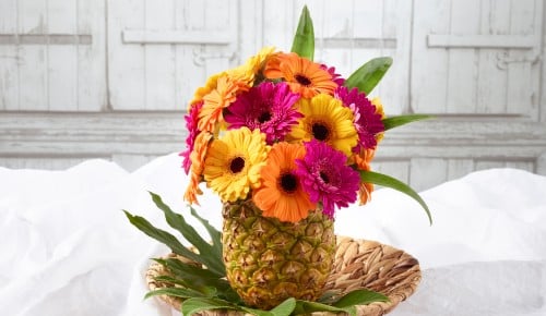 Gerbera-Schritt-010