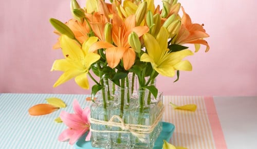 Lilien-Schritt-010