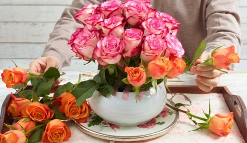 Rosen-Schritt-007