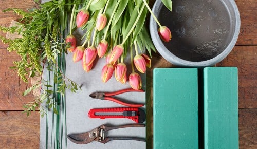 spar-tulpen-schritt-00-1