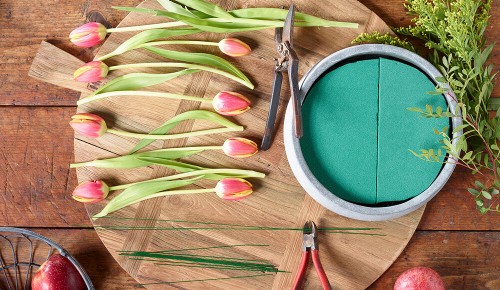 spar-tulpen-schritt-02
