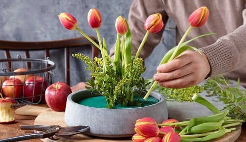 spar-tulpen-schritt-05