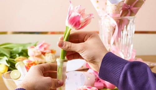 spar-tulpen-spezial-schritt-09