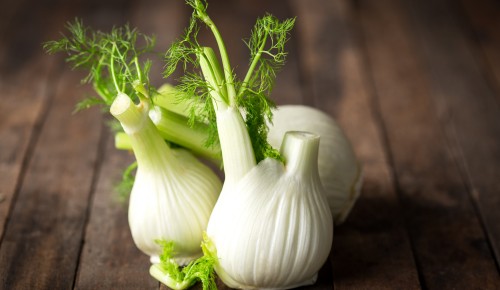 Fenchel
