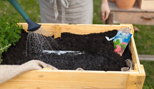 Garten 2021