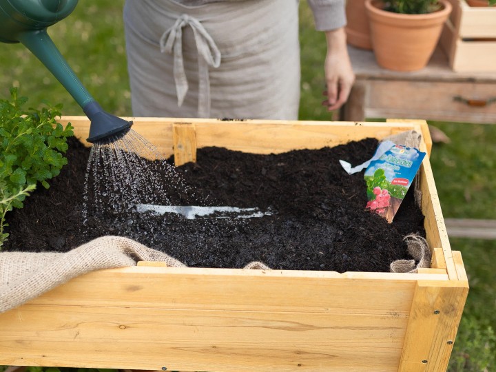 Garten 2021