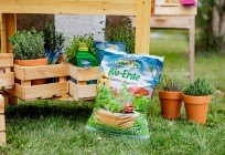 Garten 2021
