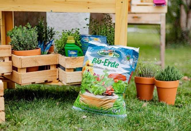 Garten 2021
