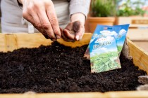 Garten 2021