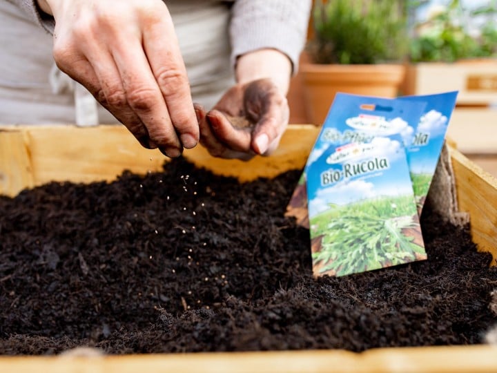 Garten 2021