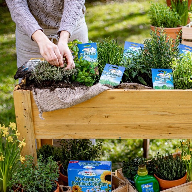 Garten 2021