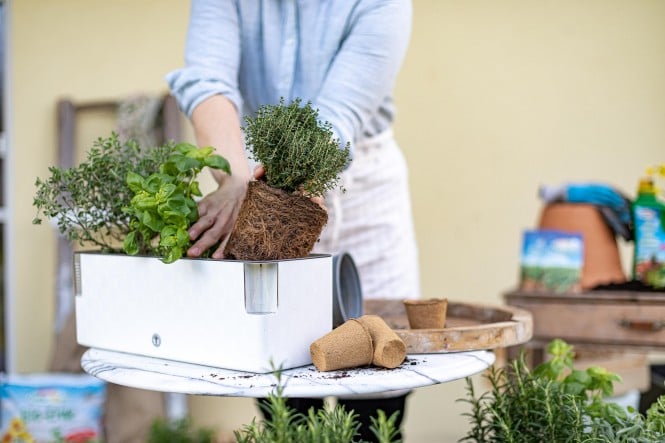 Garten 2021 Garten 2021