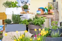 Garten 2021