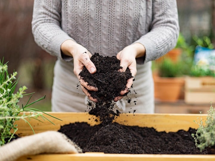 Garten 2021