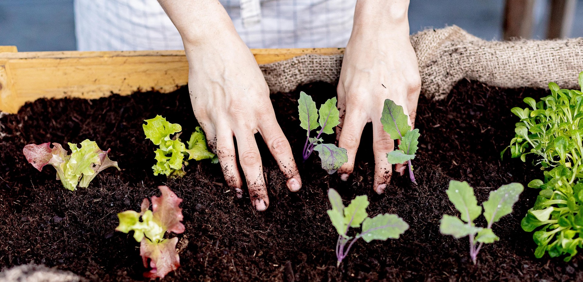 Garten 2021 Garten 2021