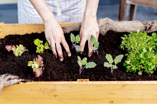 Garten 2021