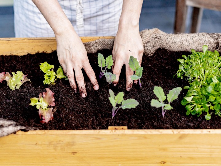 dünger angaben NutriBlend Dünger Grow Set - Effektive Pflanzenpflege
