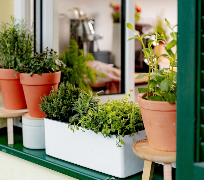 Garten 2021