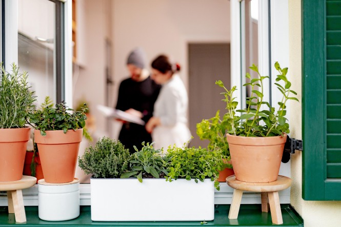 Garten 2021