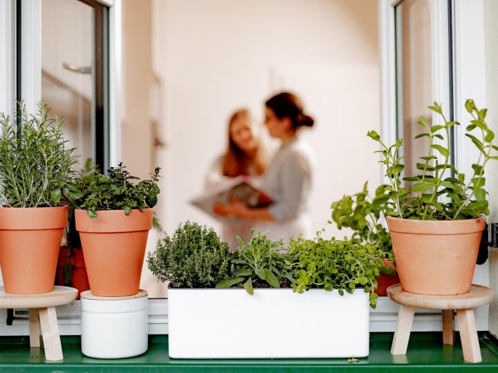 Garten 2021