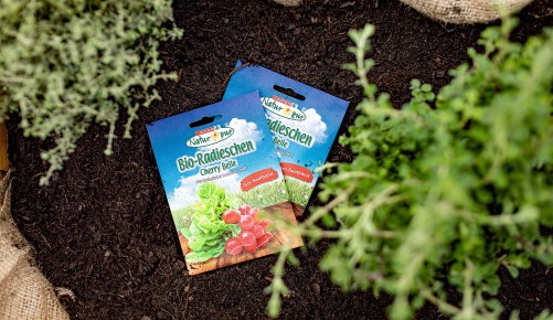 Garten 2021