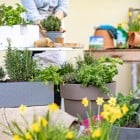 Garten2021_3