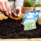 Garten2021_5