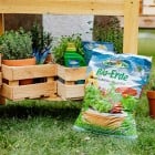 Garten2021