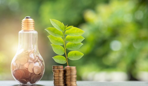 Glühbirne mit Geld befüllt