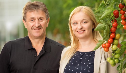 Ein Mann und eine Frau vor einem Tomatenstrauch