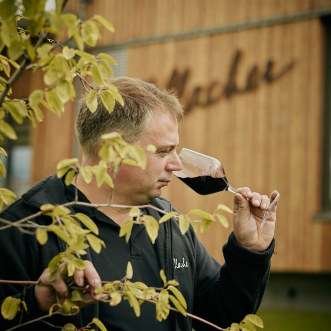 Weingut Allacher