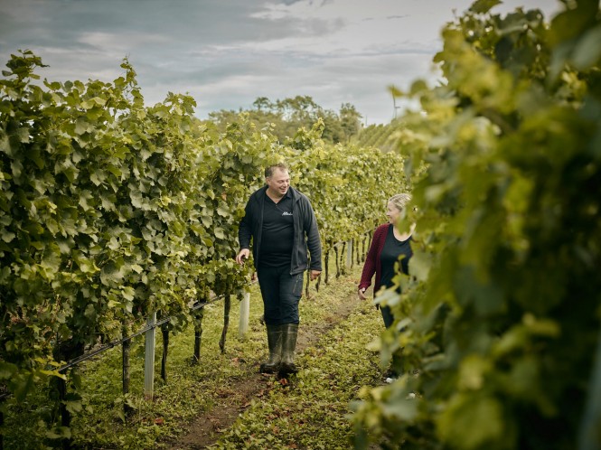 Weingut Allacher