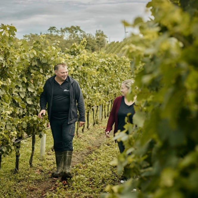 Weingut Allacher